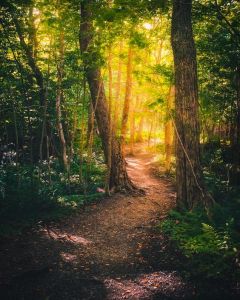 bfa25a6455e897d40c4cdc568c111c03