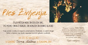 65232691_475355526372308_5362930125539115008_n